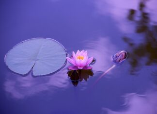 Ile wynosi wynagrodzenie za staż 2023 netto? Ile wynosi wynagrodzenie za staż 2023 netto?