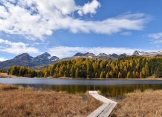 Czy staż i praktyka to to samo?