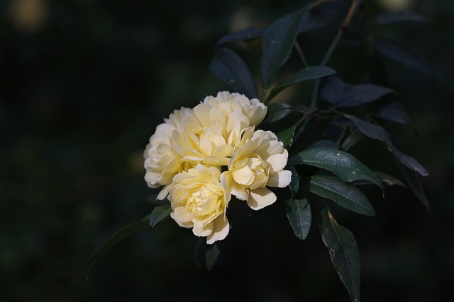 Ile jest banków? Ile jest banków?