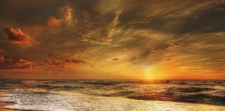 Ile da się odłożyć w Danii?