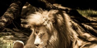 Jak się nie denerwować w czasie rozmowy?