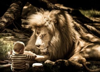 Jak się nie denerwować w czasie rozmowy?