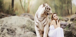 Na czym polega ochrona pracy?