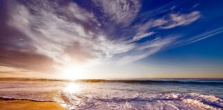 Czy pracodawca może zabronić picia wody w pracy?