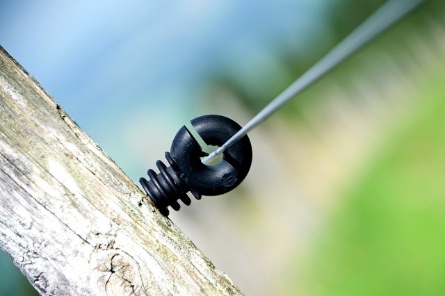 W jakim kraju jest najwięcej Polaków? W jakim kraju jest najwięcej Polaków?