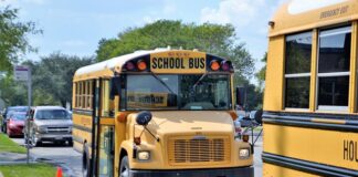 Czy praktykant może się zwolnić z pracy?