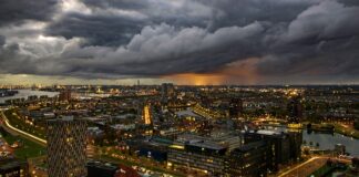 Czy warto wyjechać do Holandii w 2023?