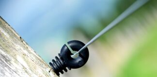 Ile procent Polaków zna języki obce?