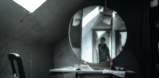 Kto kieruje Izba administracji skarbowej?