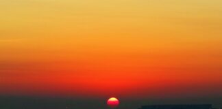 Na co warto się przebranżowić?