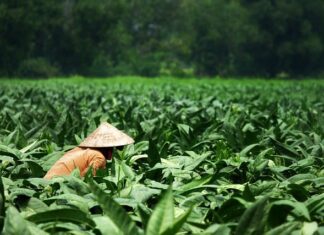 Komu należy się dodatkowa przerwa w pracy?