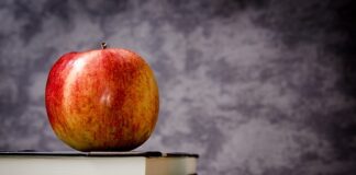 Ile wypłata jest w 3 klasie zawodowej?