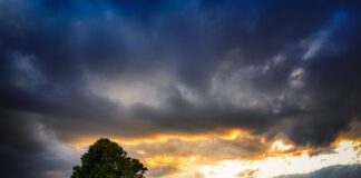 Co przeszkadza Ci w pracy?