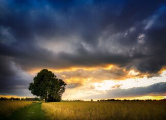 Co przeszkadza Ci w pracy?