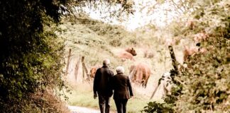 Czy szkoła średnią liczy się do emerytury?