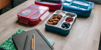 Plecak szkolny, termos i lunchbox – jak stworzyć funkcjonalny zestaw do szkoły? lunchbox